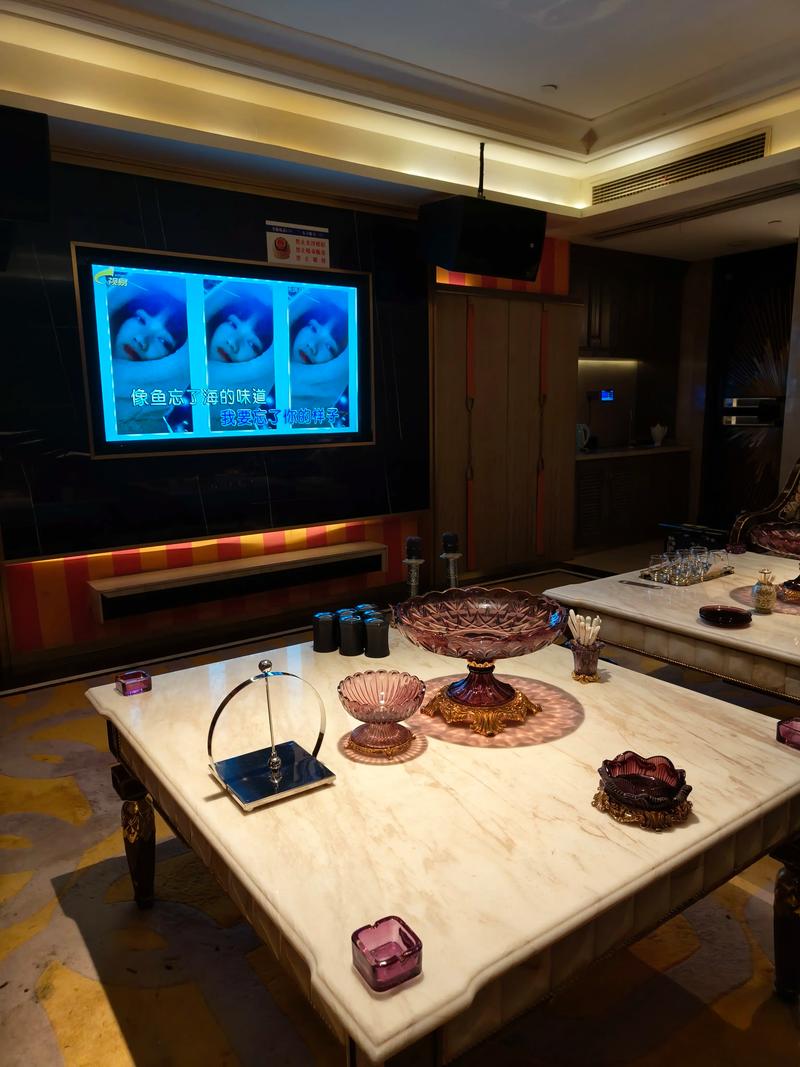 贺州商务KTV与片场有何不同-昭平县ktv预订